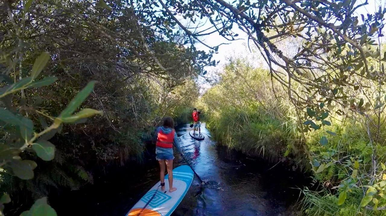 Hoya Surf Camp - Activites + Logements Biscarrosse Bagian luar foto